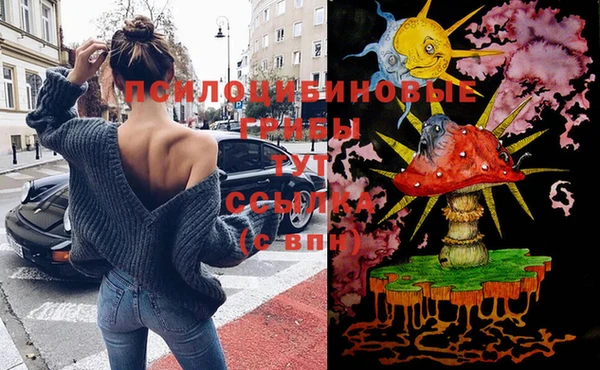 винт Абинск