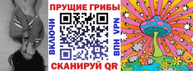 Галлюциногенные грибы GOLDEN TEACHER  где продают наркотики  Старая Купавна 