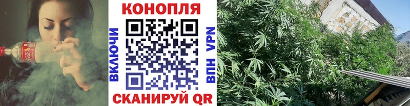 Каннабис AK-47  Старая Купавна 